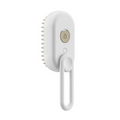 3-in-1 Electric Steam Spray Pet Grooming Brush